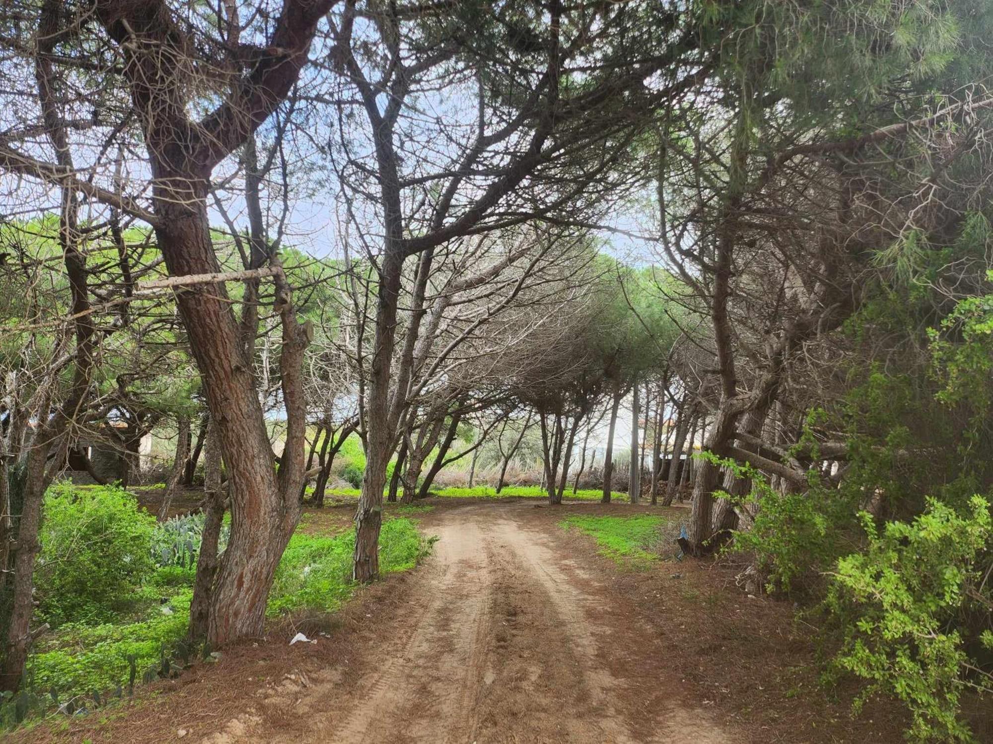 Ra's al Jabal Villa Mabrouka מראה חיצוני תמונה